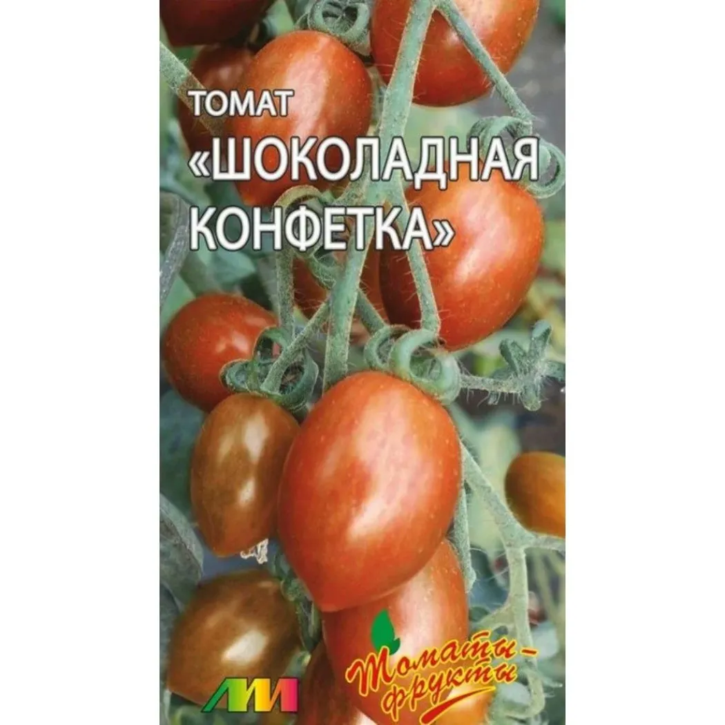 Томат Шоколадная конфетка
