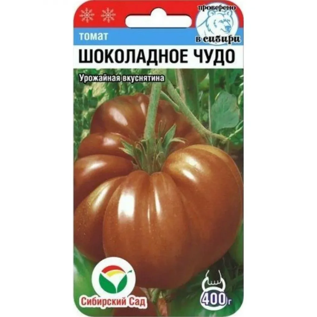 Томат Шоколадное Чудо 3