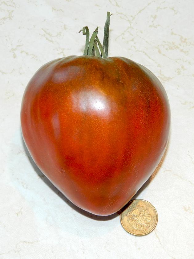 Томат Шоколадное сердце Рейнхарда 3