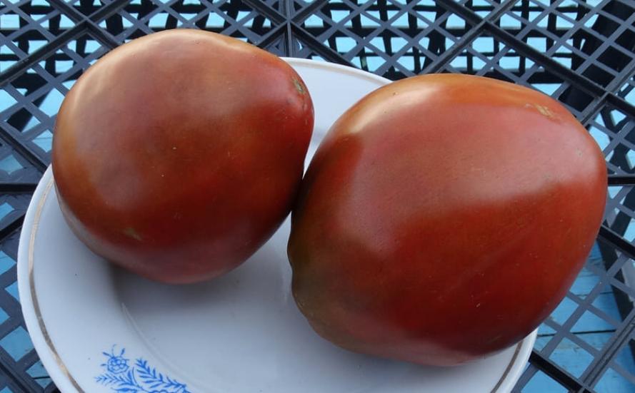 Томат Шоколадное сердце Рейнхарда