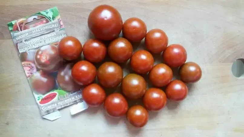 Томат Шоколадные яблочки 2