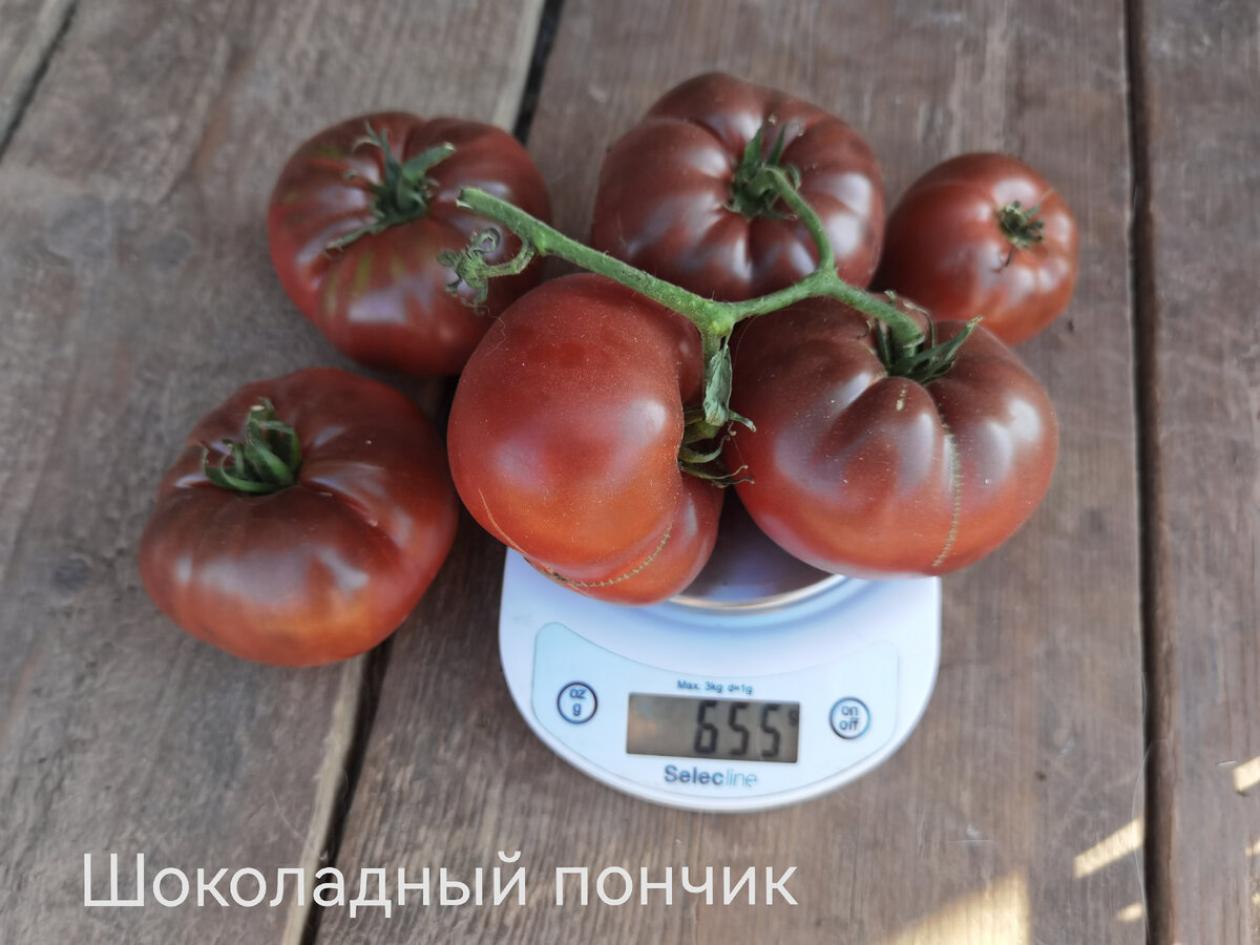 Томат Шоколадный пончик