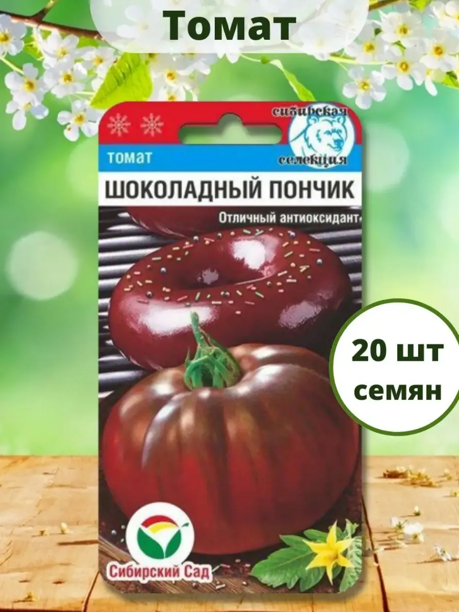 Томат Шоколадный пончик 2