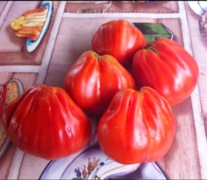 Томат Шпаковский