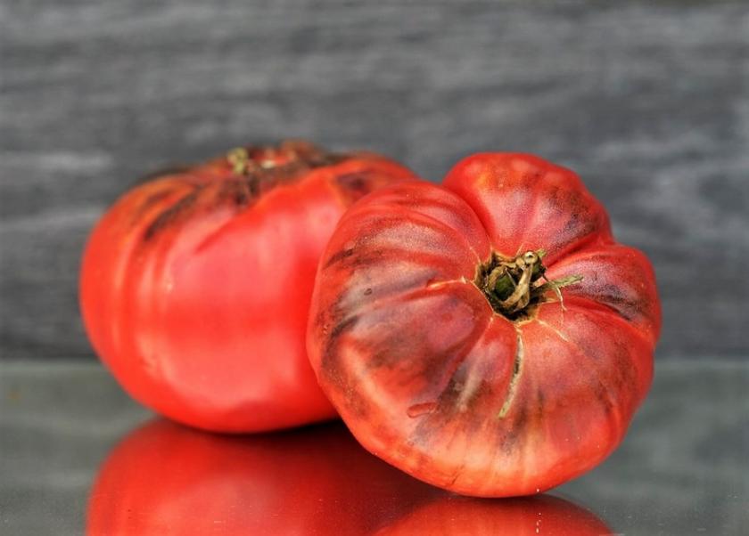 Томат Сибирская пантера 2