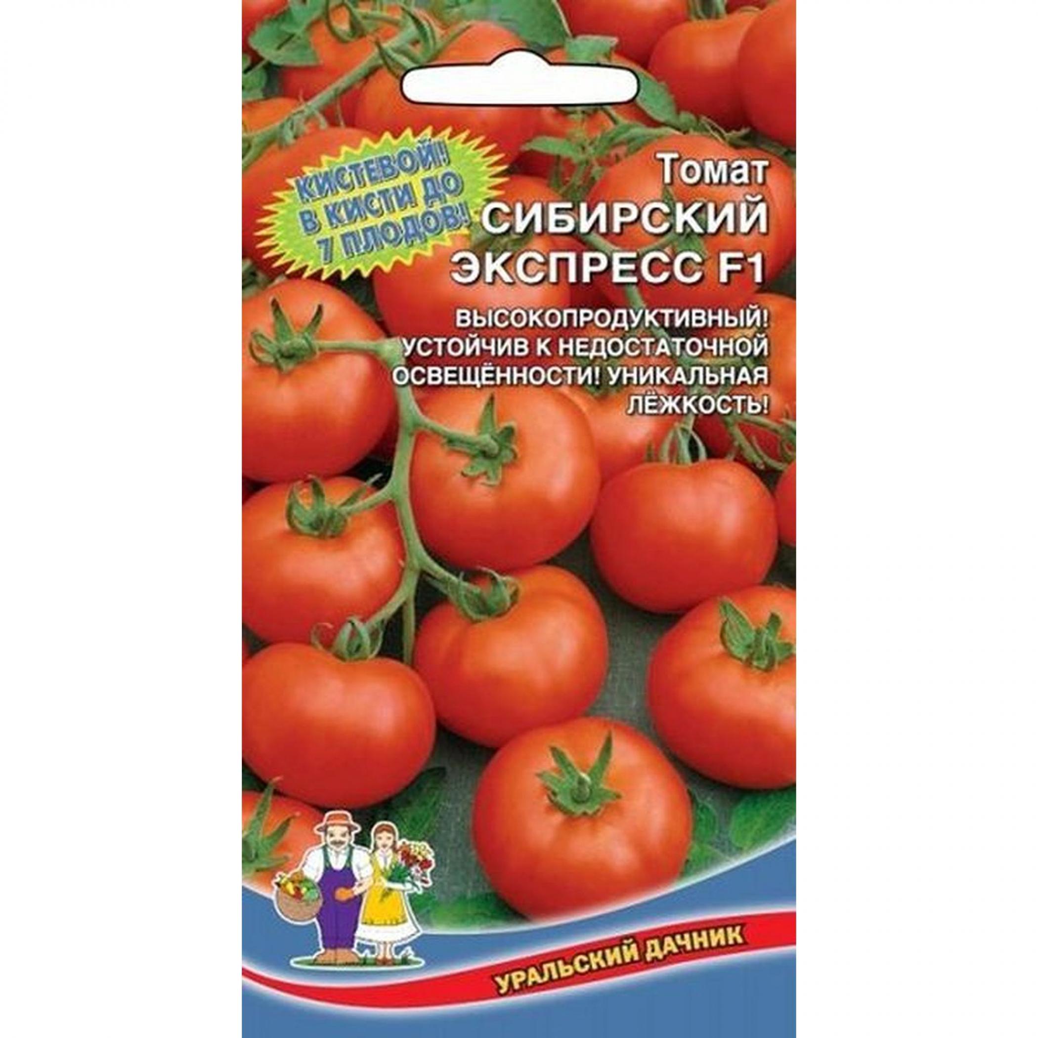 Томат Сибирский экспресс