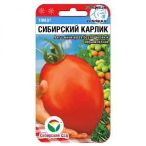 Томат Сибирский карлик