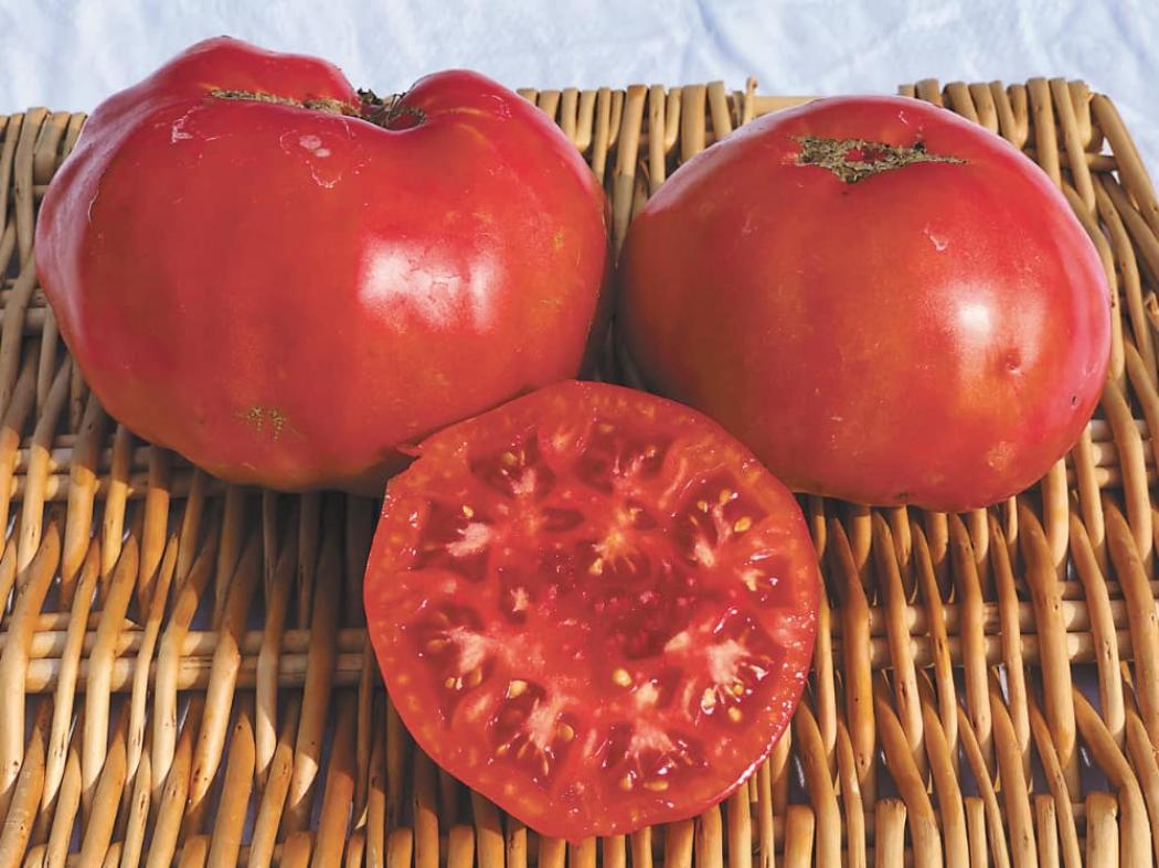 Томат Сибирский сахарный 2