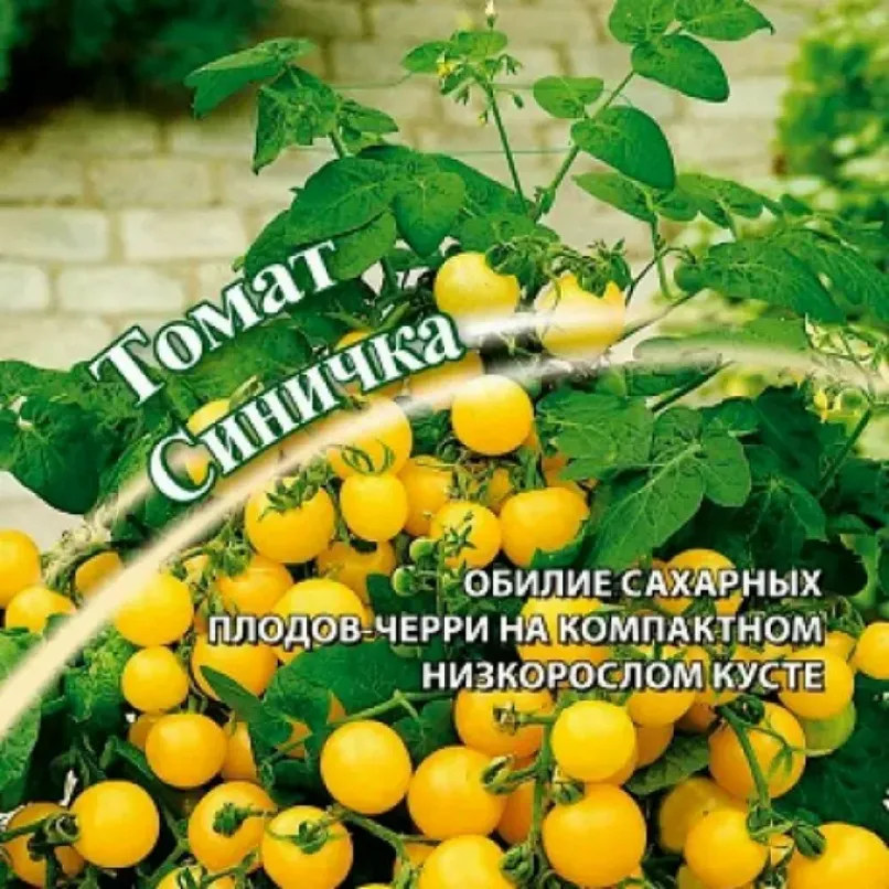 Томат Синичка 2