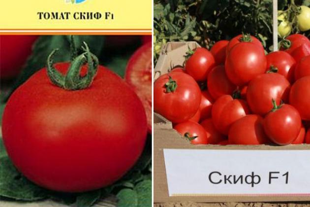Томат Скиф 3