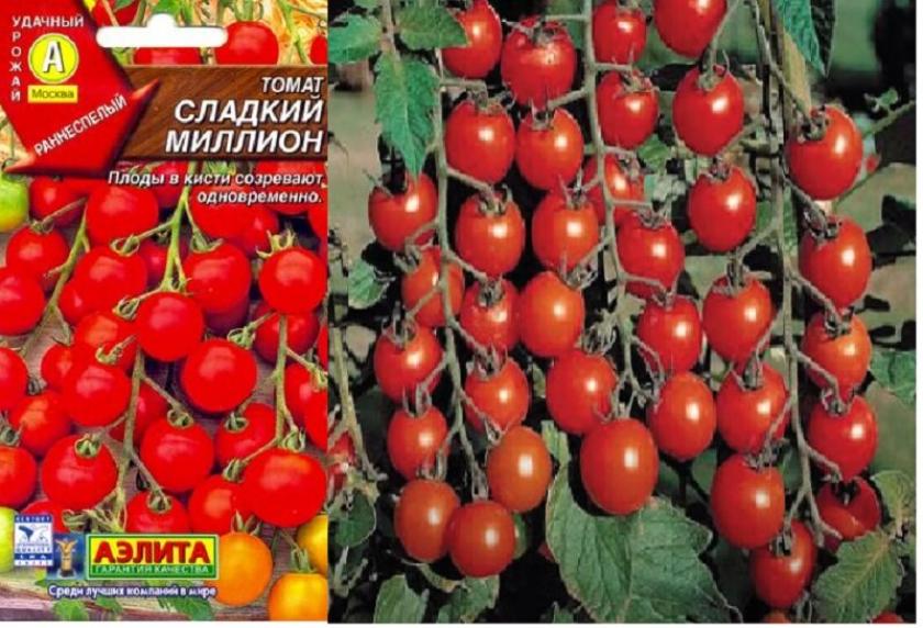 Томат Сладкий миллион