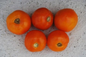 Томат Слава Молдовы