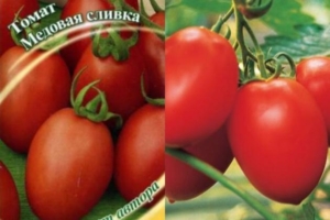 Томат Сливка медовая