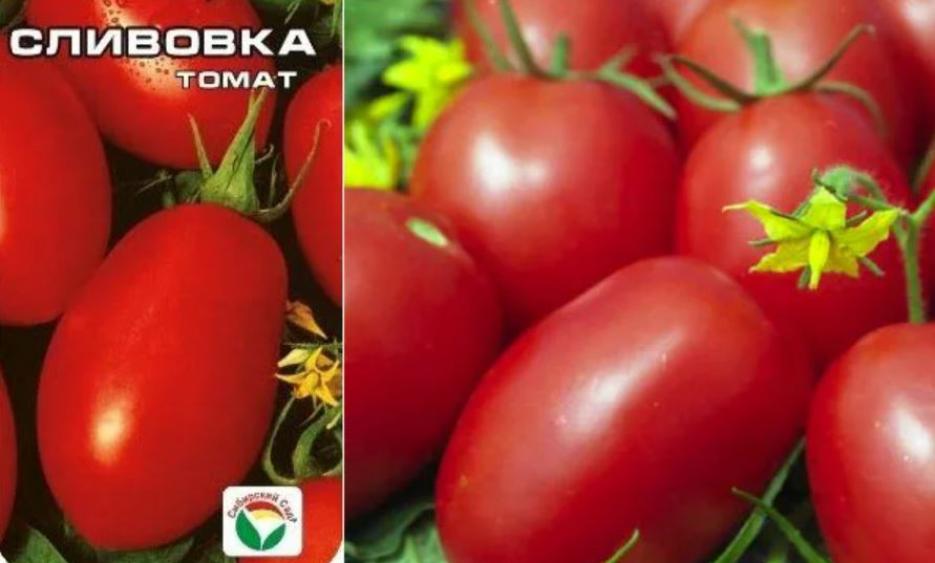Томат Сливовка 3