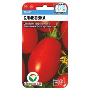 Томат Сливовка