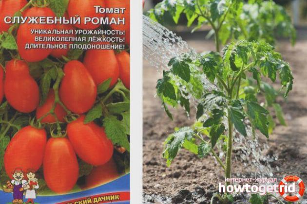 Томат Служебный роман