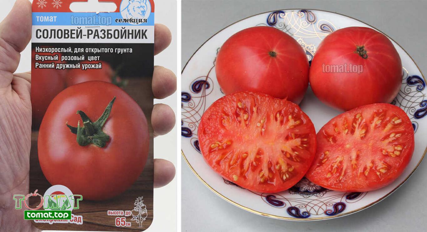 Томат Соловей-Разбойник 2