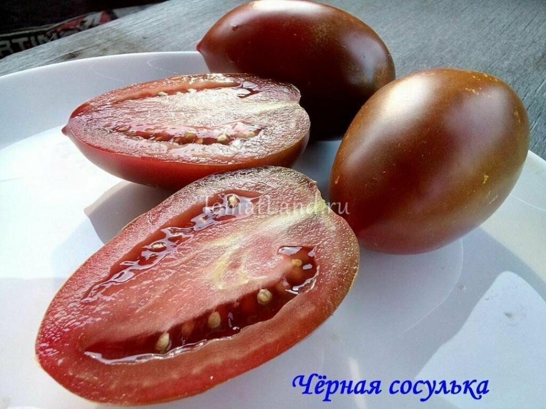 Томат Сосулька черная 2