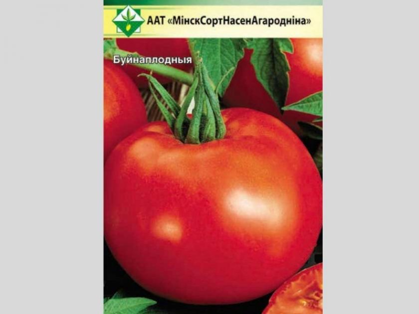 Томат Спартак