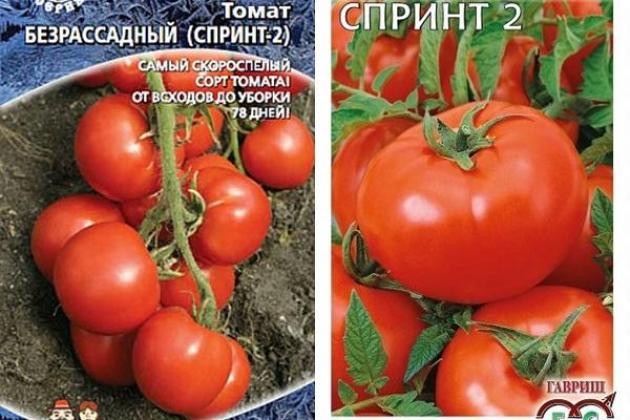 Томат Спринт 2 (Безрассадный) 2
