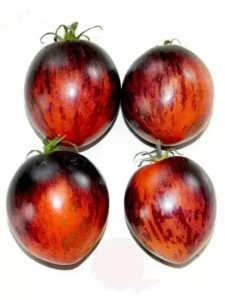 Томат Сталь Дамаска