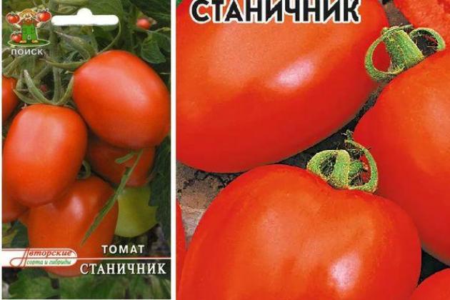Томат Станичник 2