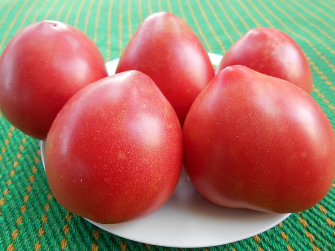 Томат Страстное сердце Энтони 2