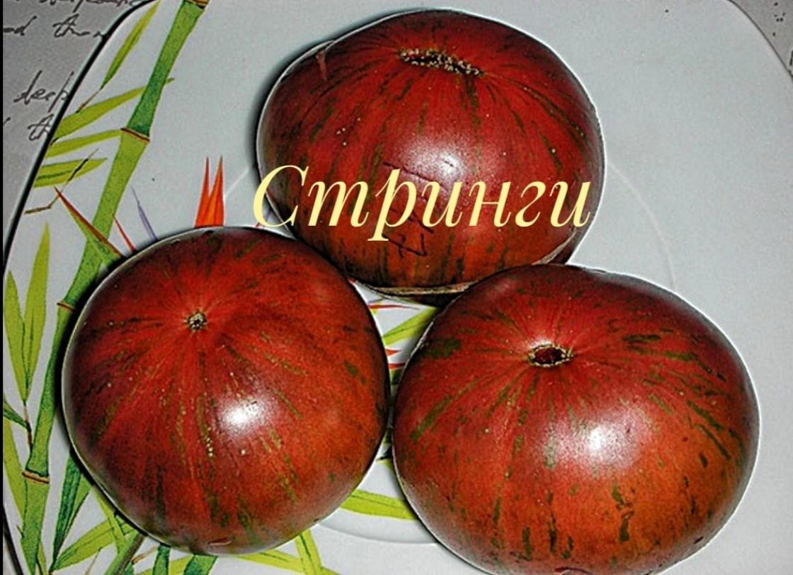Томат Стринги 3
