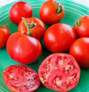 Томат Сунгари