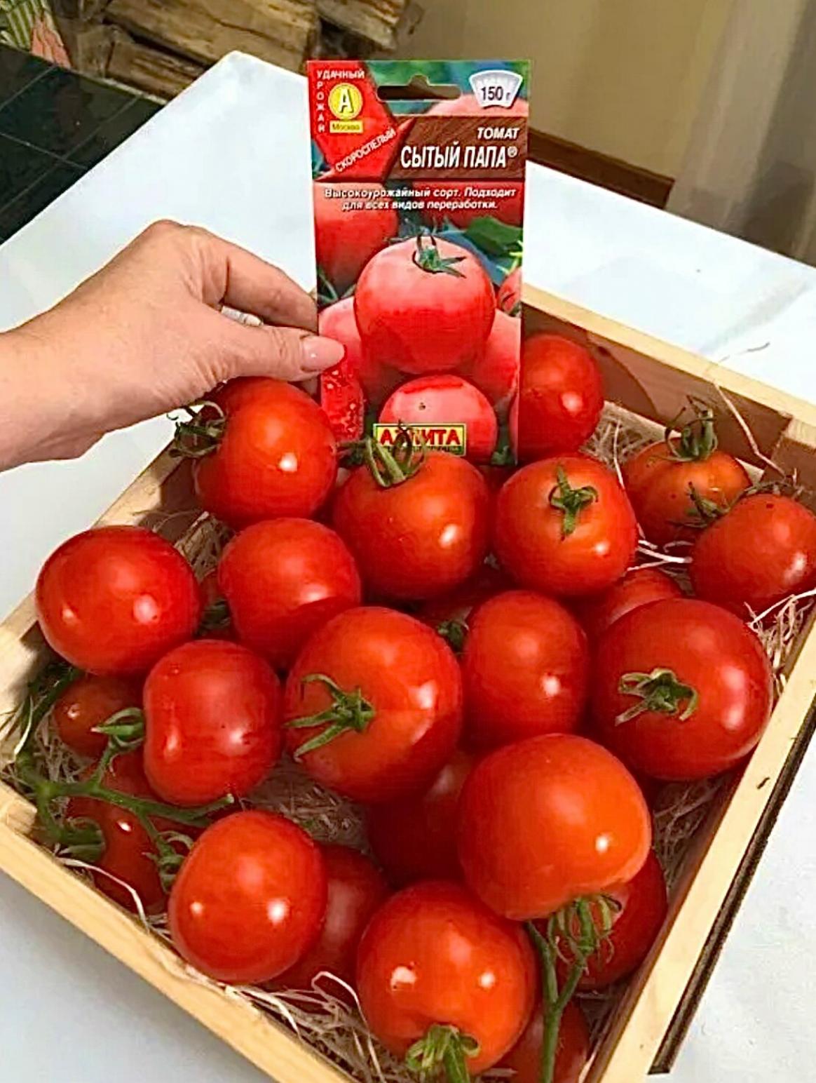 Томат Сытый папа 2