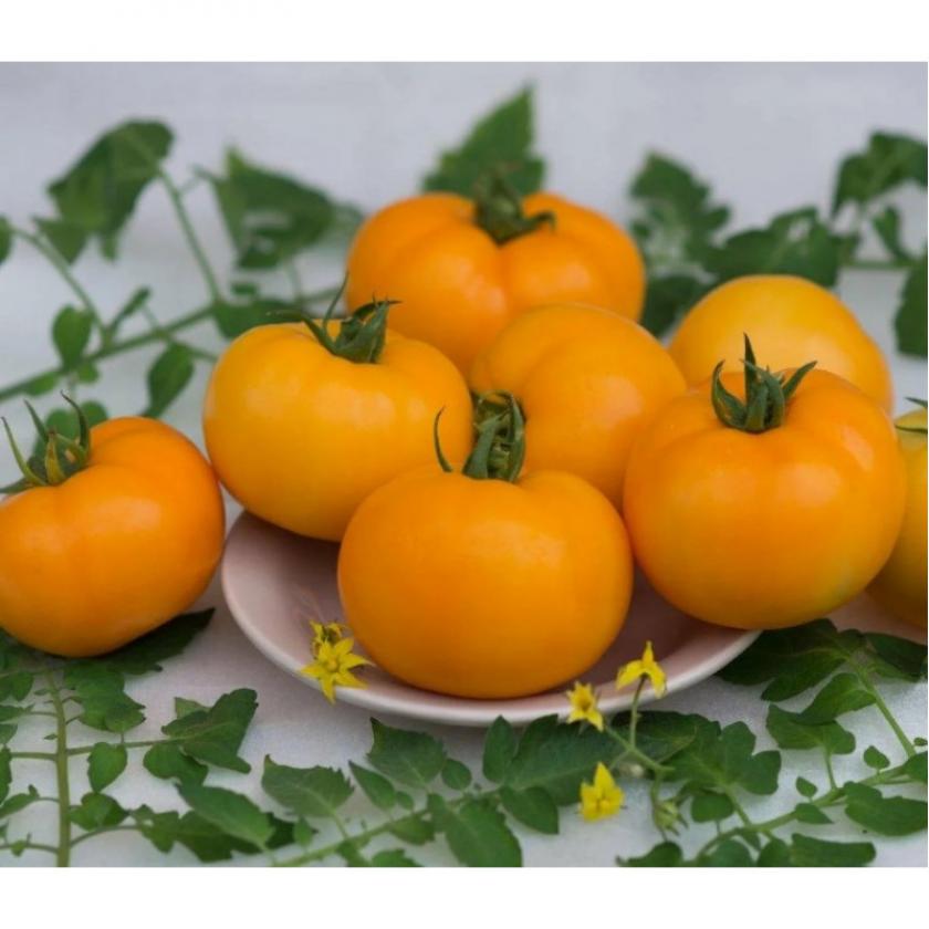 Томат Сюрприз жёлтый 3