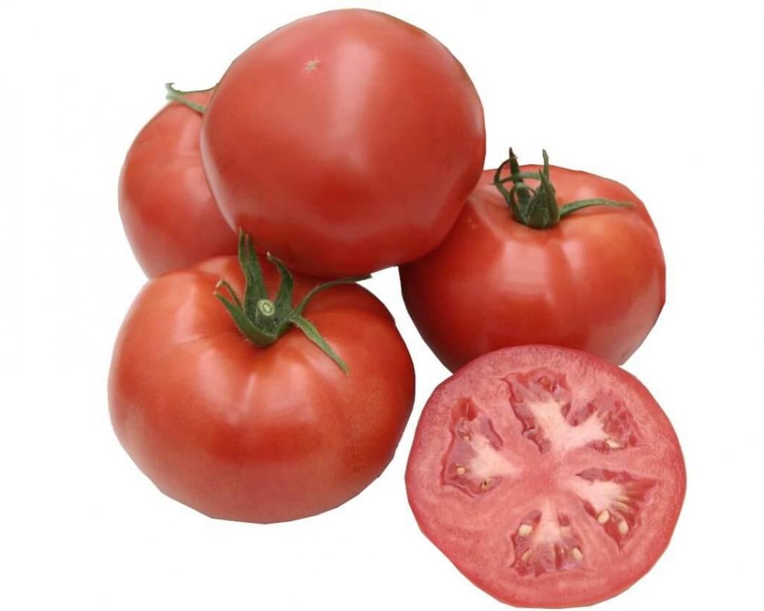 Томат Таганрог 5