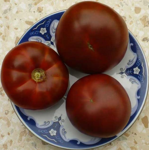 Томат Тасманский шоколад 4