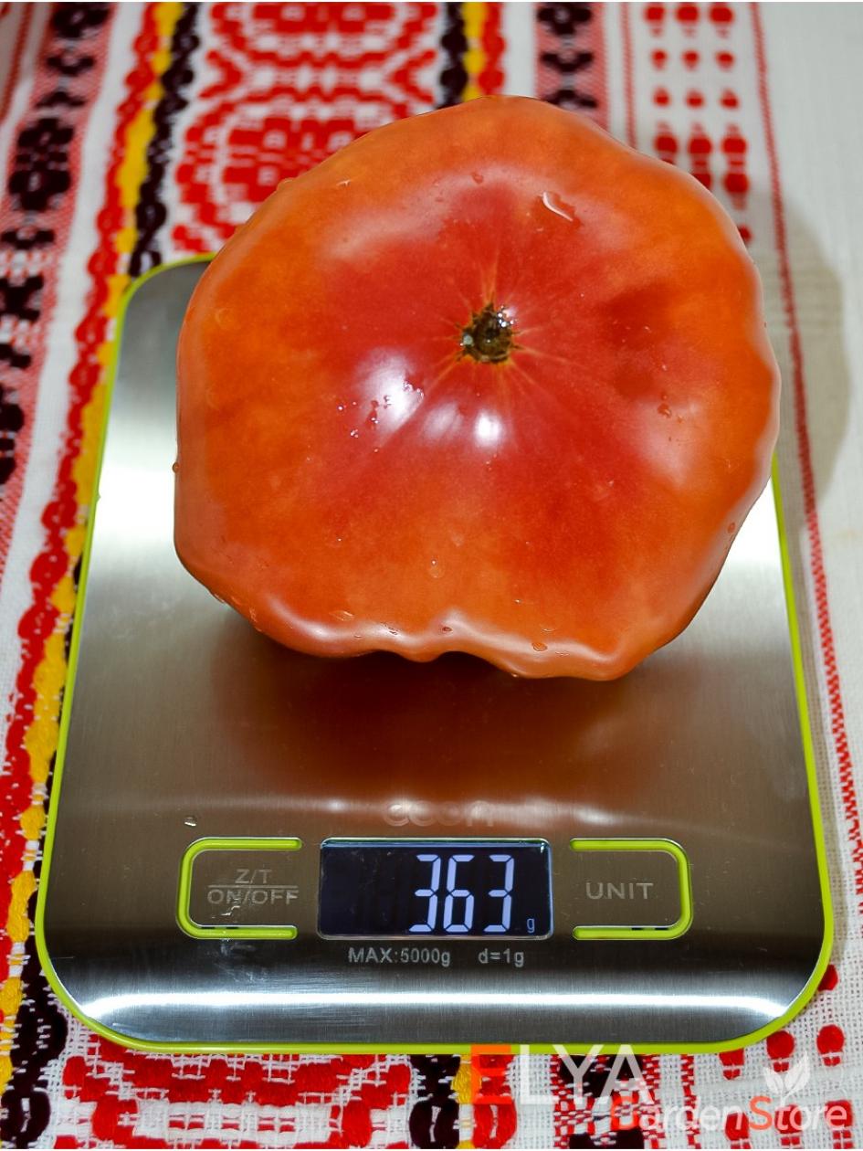 Томат Тайна Марси 2