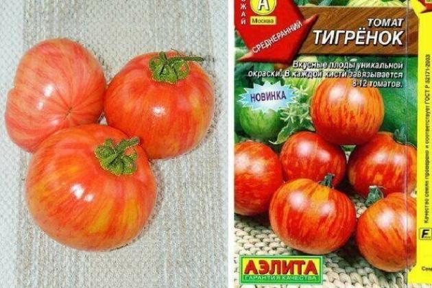 Томат Тигренок