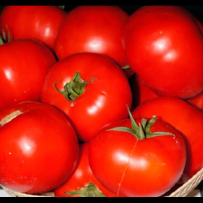 Томат Тмаг 666 2