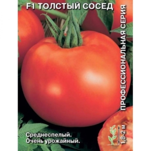 Томат Толстый сосед