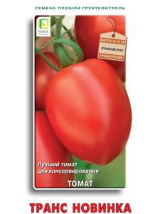Томат Транс новинка