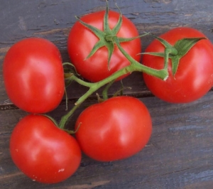 Томат Три сестры