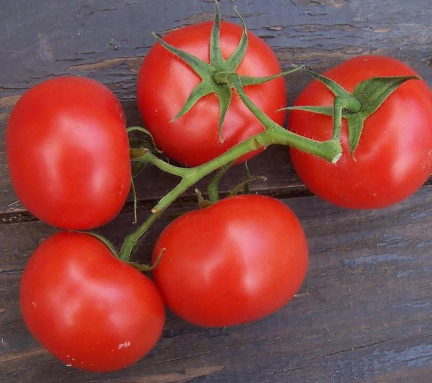 Томат Три сестры