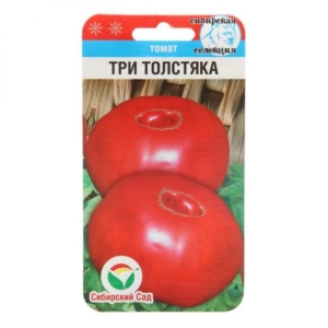 Томат Три толстяка