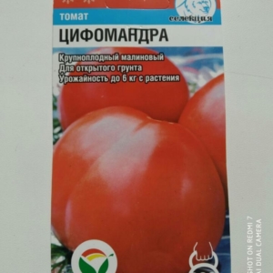 Томат Цифомандра