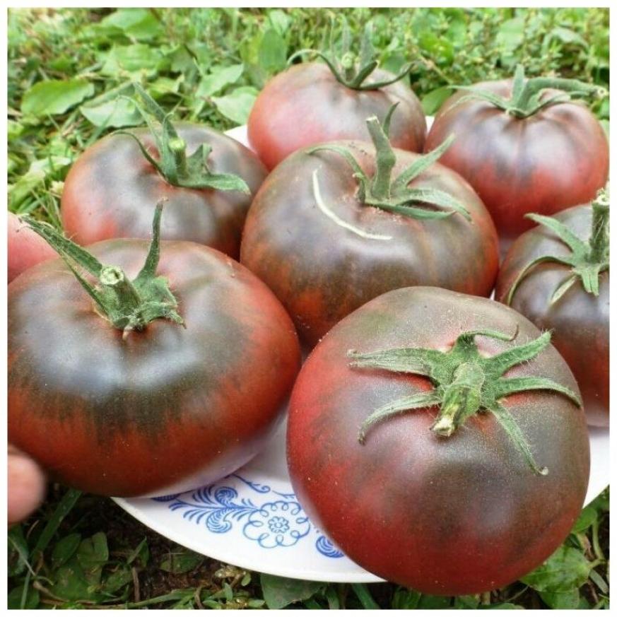 Томат Тульский черный 3