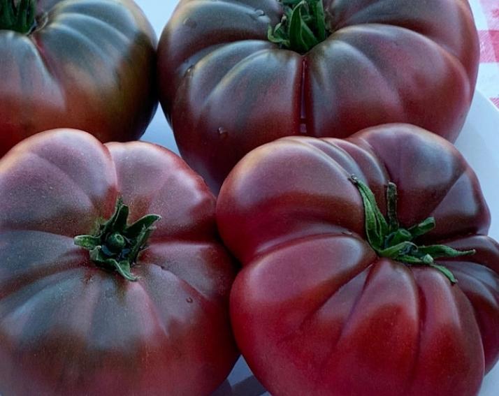 Томат Тульский черный 6