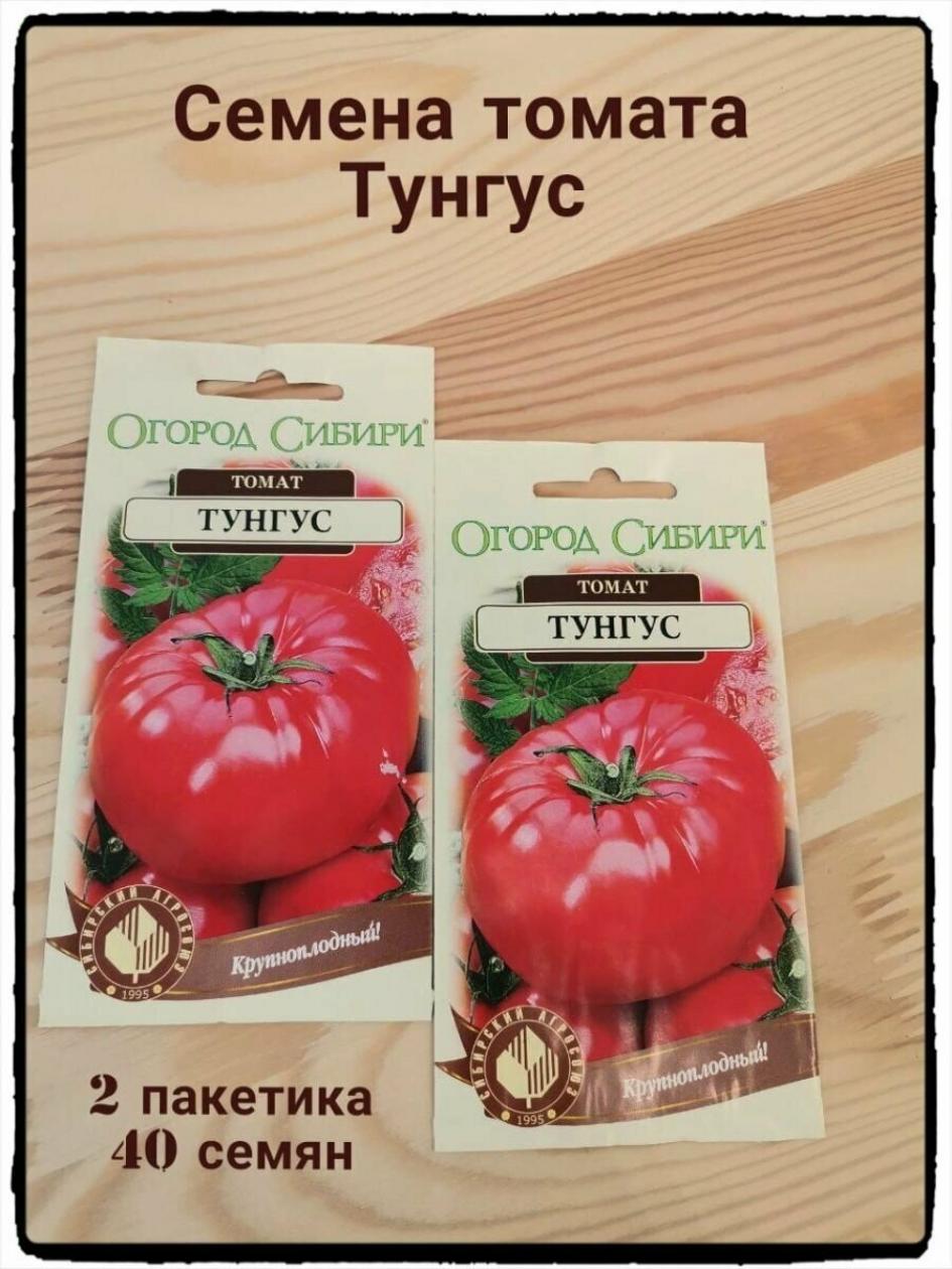 Томат Тунгус 2