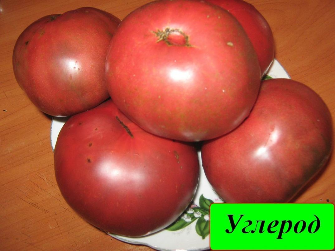 Томат Углерод 6