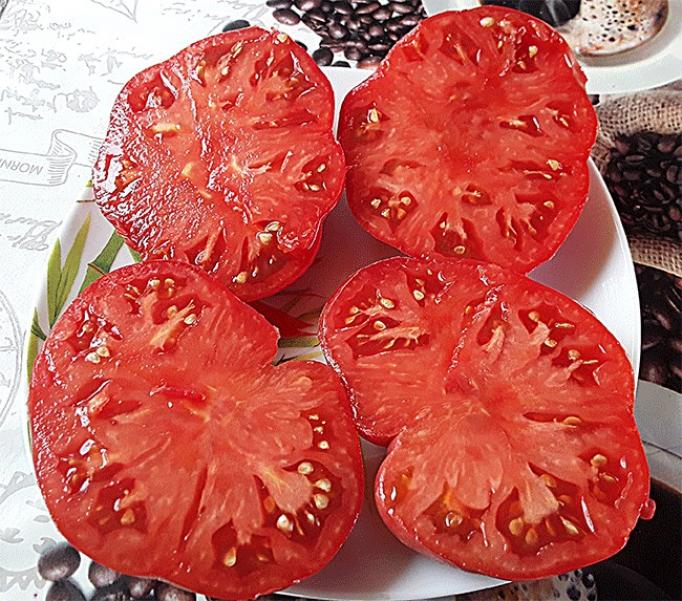 Томат Укус змеи 5