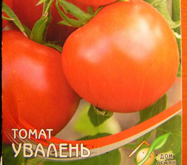 Томат Увалень 2