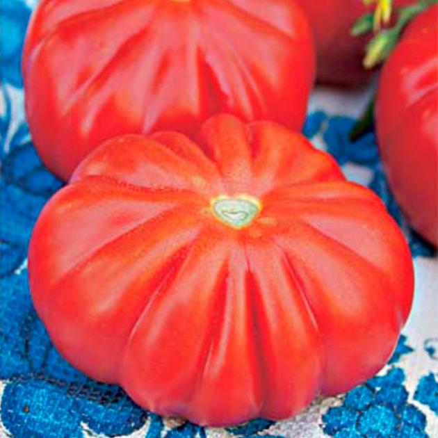 Томат Узелок Красной Шапочки