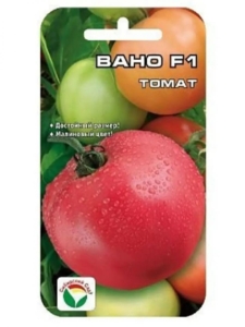 Томат Вано